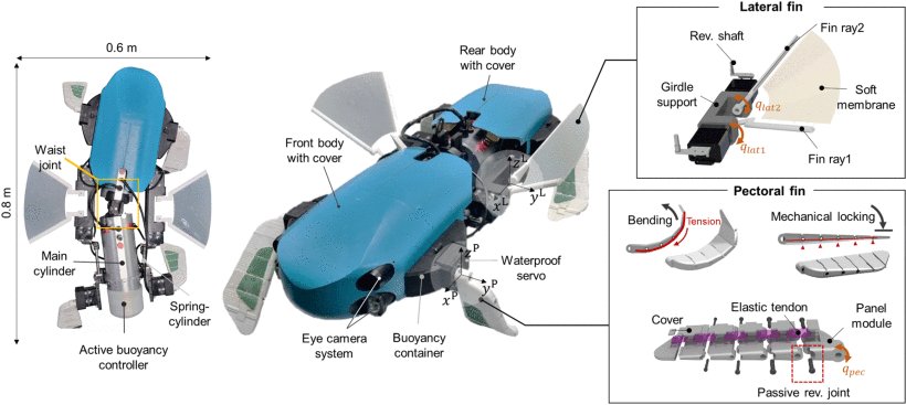 Development of Bioinspired Multimodal Underwater Robot “HERO-BLUE” for Walking, Swimming, and Crawling Figure 1