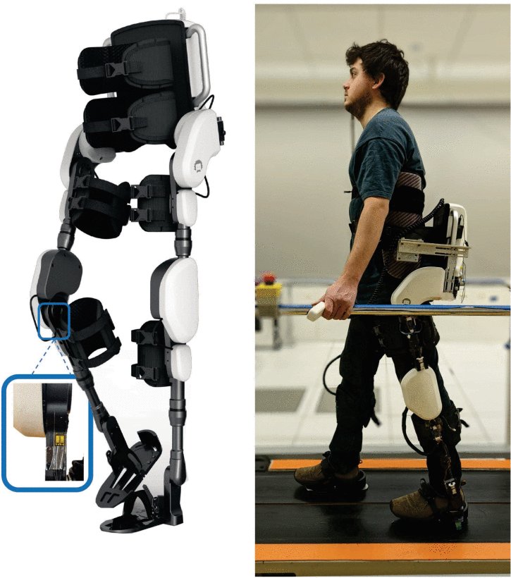 Haptic Transparency and Interaction Force Control for a Lower Limb Exoskeleton Figure 1