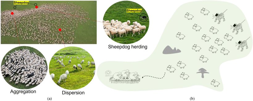 A Distributed Outmost Push Approach for Multirobot Herding Figure 1