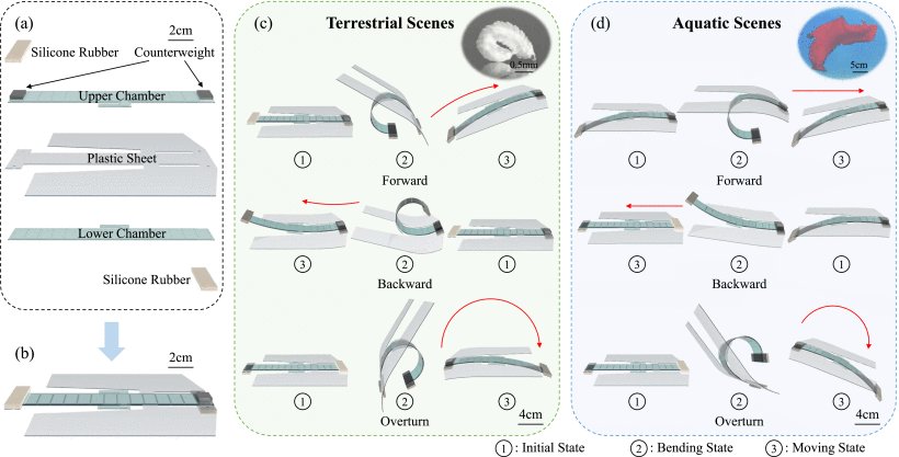Multimodal Soft Amphibious Robots Using Simple Plastic-Sheet-Reinforced Thin Pneumatic Actuators Figure 1