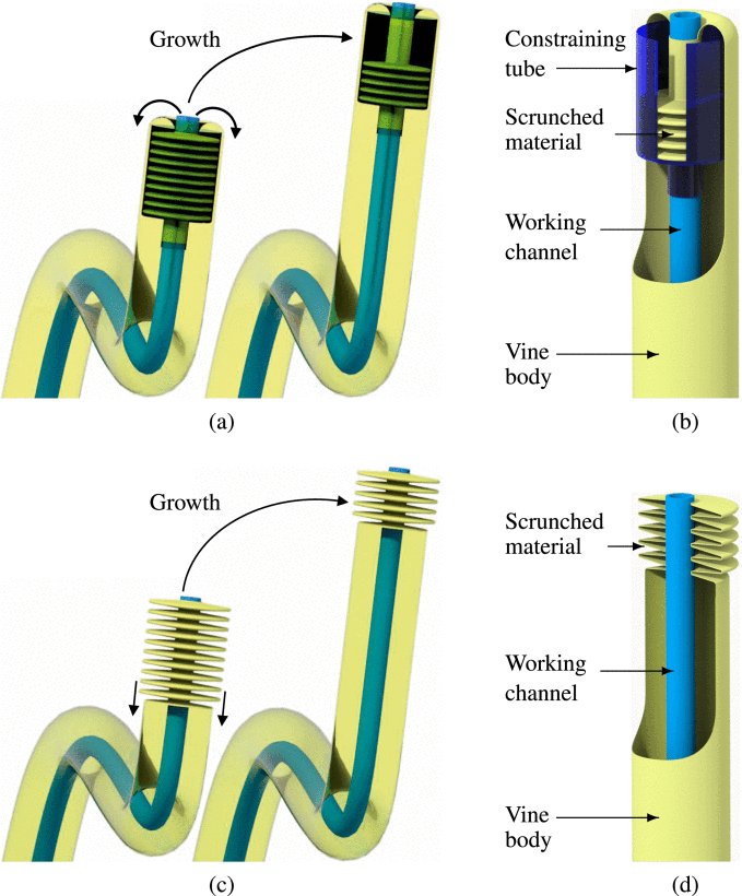 Material Scrunching Enables Working Channels in Miniaturized Vine-Inspired Robots Figure 1