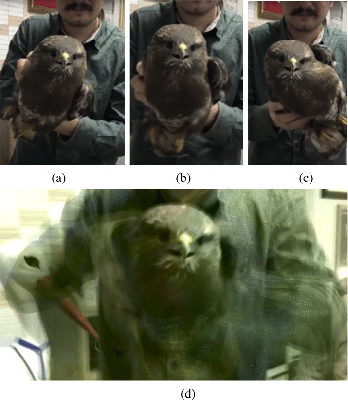 Design of an Adaptive Lightweight LiDAR to Decouple Robot–Camera Geometry Figure 1