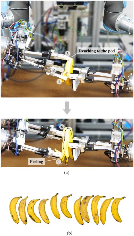 Goal-Conditioned Dual-Action Imitation Learning for Dexterous Dual-Arm Robot Manipulation Figure 1