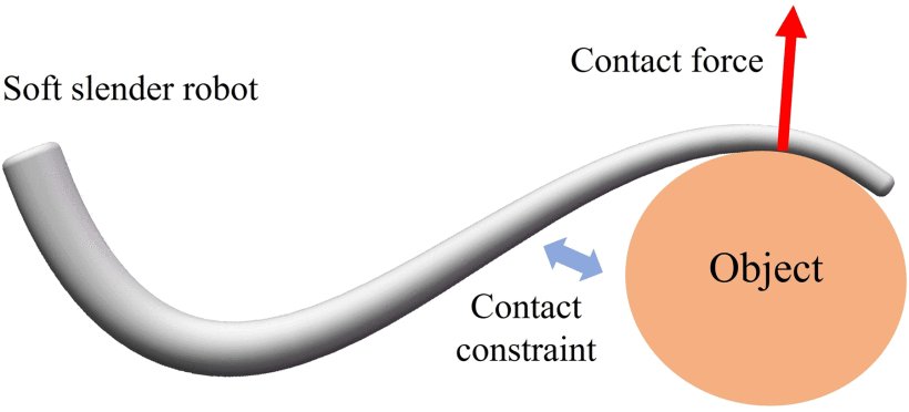 Cosserat-Rod-Based Dynamic Modeling of Soft Slender Robot Interacting With Environment Figure 1