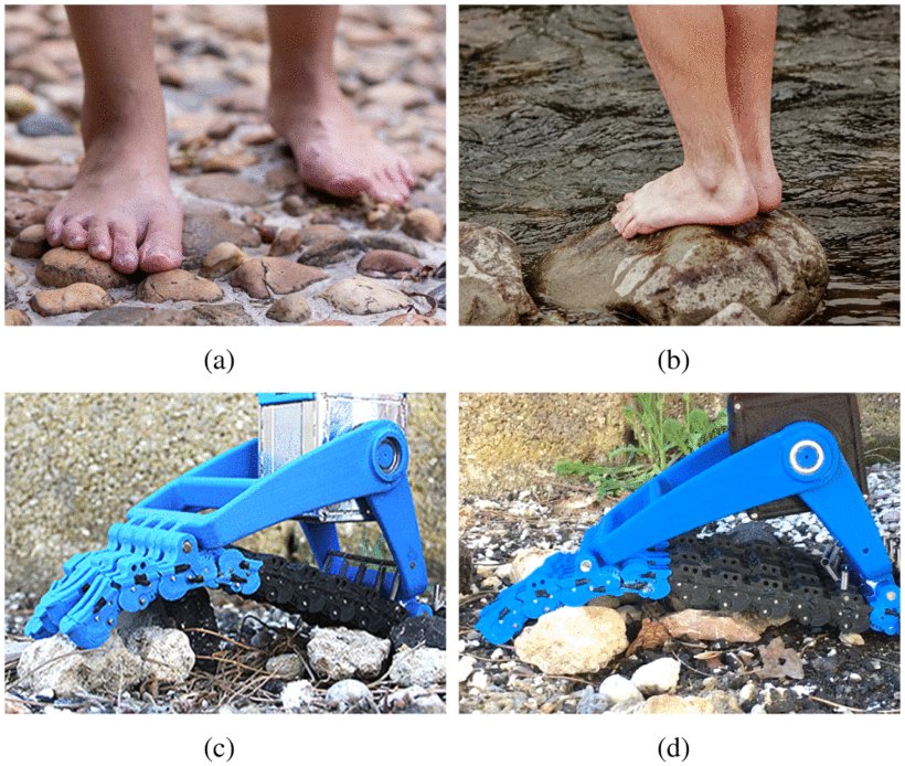 Analytical Model and Experimental Testing of the SoftFoot: An Adaptive Robot Foot for Walking Over Obstacles and Irregular Terrains Figure 1