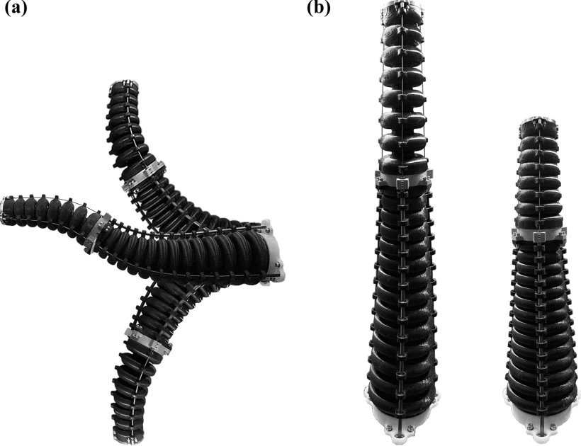 Disturbance-Adaptive Tapered Soft Manipulator With Precise Motion Controller for Enhanced Task Performance Figure 1