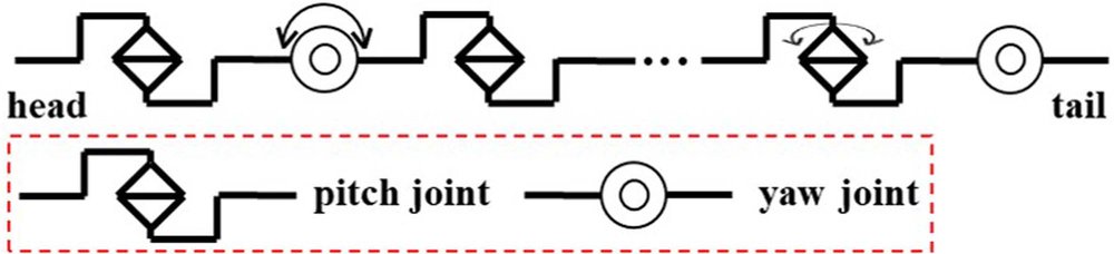 A Unified Motion Modeling Approach for Snake Robot's Gaits Generated With Backbone Curve Method Figure 1