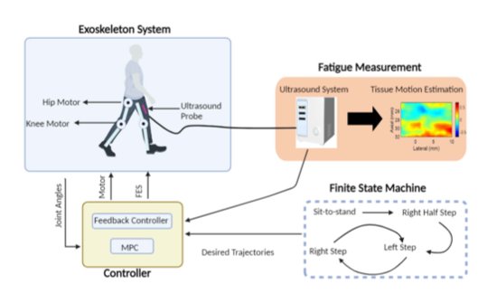 Real-Time Ultrasound Imaging of a Human Muscle to Optimize Shared Control in a Hybrid Exoskeleton Figure 1