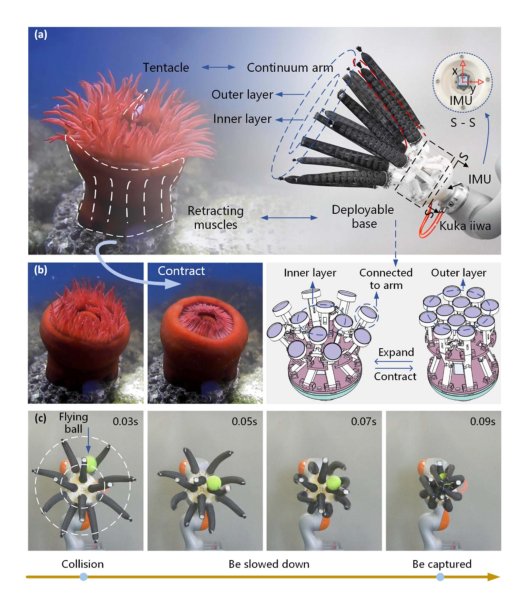 A Multitentacle Gripper for Dynamic Capture Figure 1