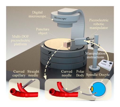 A Compact 2-DOF Cross-Scale Piezoelectric Robotic Manipulator With Adjustable Force for Biological Delicate Puncture Figure 1
