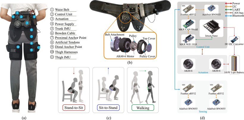 A Lower Limb Wearable Exosuit for Improved Sitting, Standing, and Walking Efficiency Figure 1