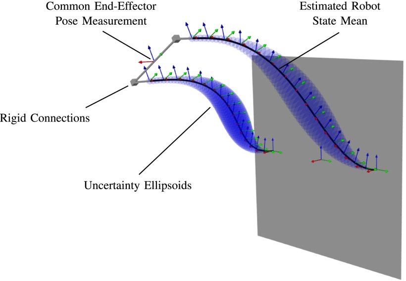 State Estimation for Continuum Multirobot Systems on SE(3) Figure 1