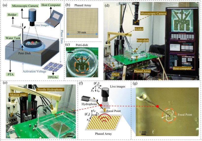 Selective, Robust, and Precision Manipulation of Particles in Complex Environments With Ultrasonic Phased Transducer Array and Microscope Figure 1