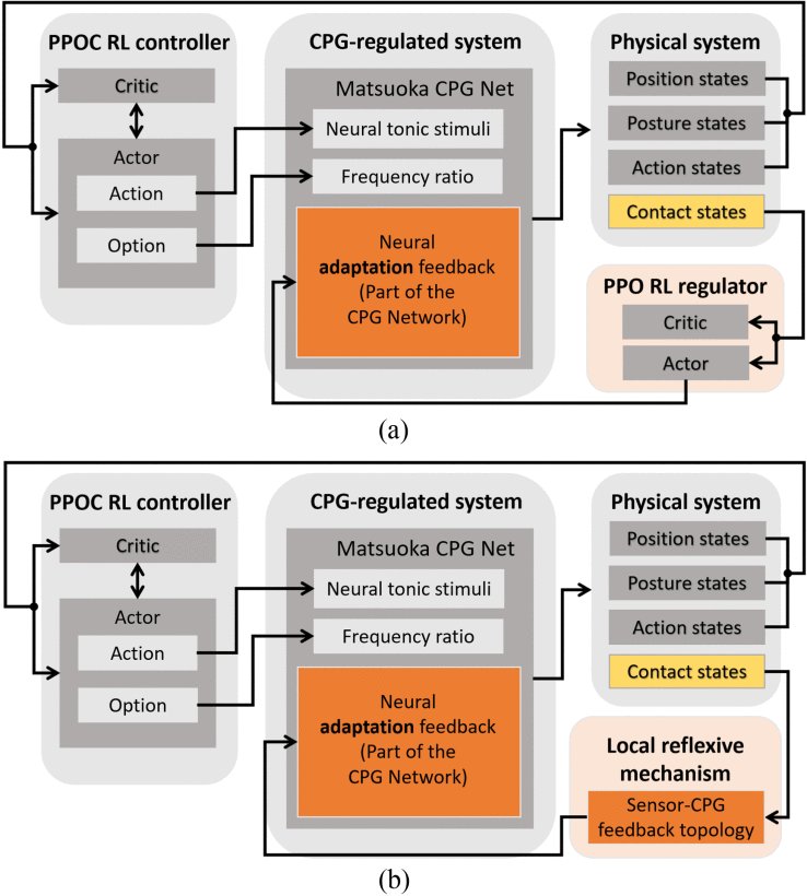 Integrating Contact-Aware CPG System for Learning-Based Soft Snake Robot Locomotion Controllers Figure 1