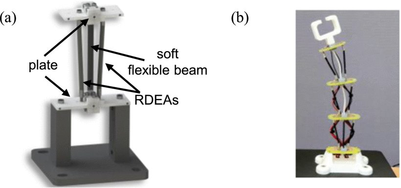 Model-Based Robust Position Control of an Underactuated Dielectric Elastomer Soft Robot Figure 1