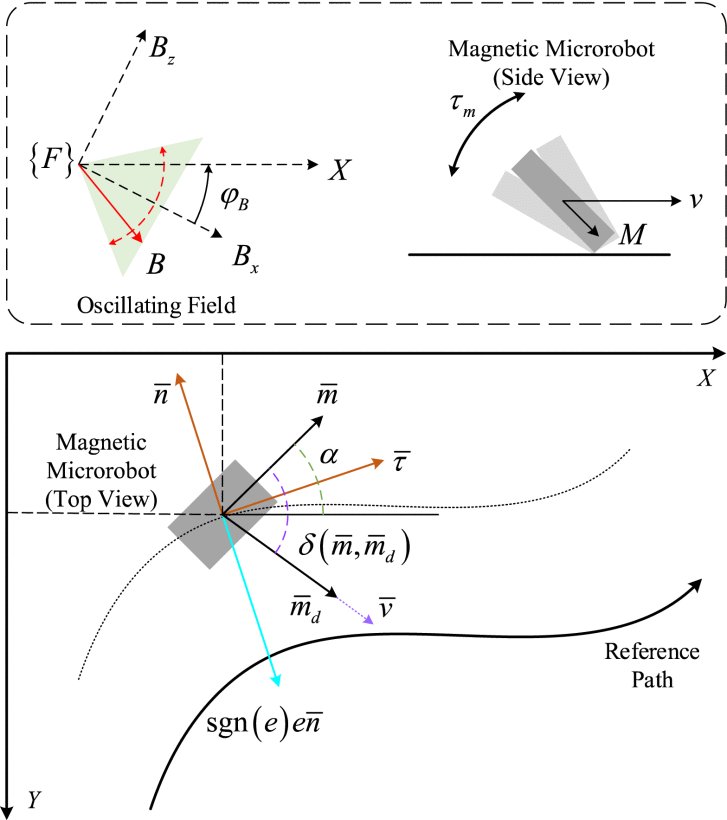 Ultrasound Image-Based Average $Q$-Learning Control of Magnetic Microrobots Figure 1