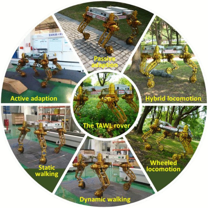 Probabilistic Path Planning for Wheel-Legged Rover in Dense Environment Based on Extended MDP and Configuration Topology Analysis Figure 1