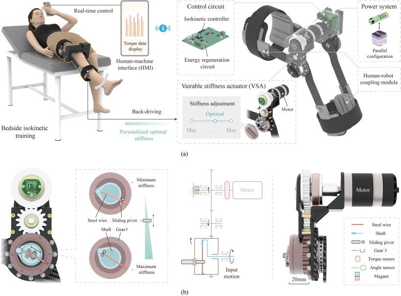 A Wearable Isokinetic Training Robot for Enhanced Bedside Knee Rehabilitation Figure 1