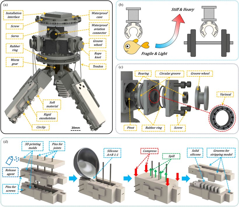A Biomimetic Rigid-Soft Hybrid Underwater Gripper With Compliance, Stability, Precise Control, and High Load Capacity Figure 1