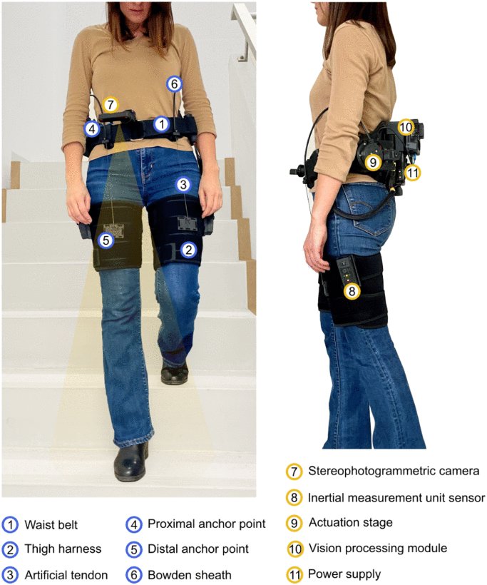 Leveraging Geometric Modeling-Based Computer Vision for Context Aware Control in a Hip Exosuit Figure 1