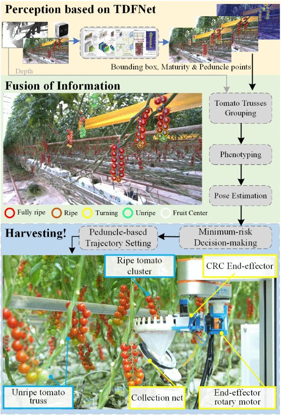 Autonomous Tomato Harvesting With Top–Down Fusion Network for Limited Data Figure 1