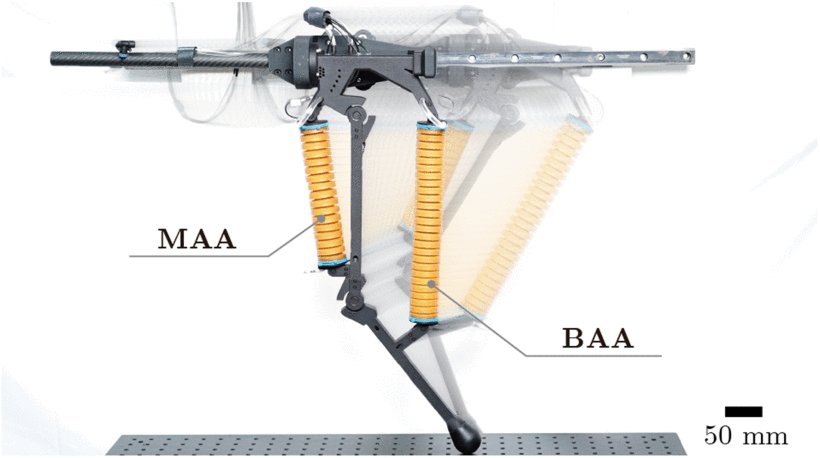 Design and Control of a Musculoskeletal Bionic Leg With Optimized and Sensorized Soft Artificial Muscles Figure 1
