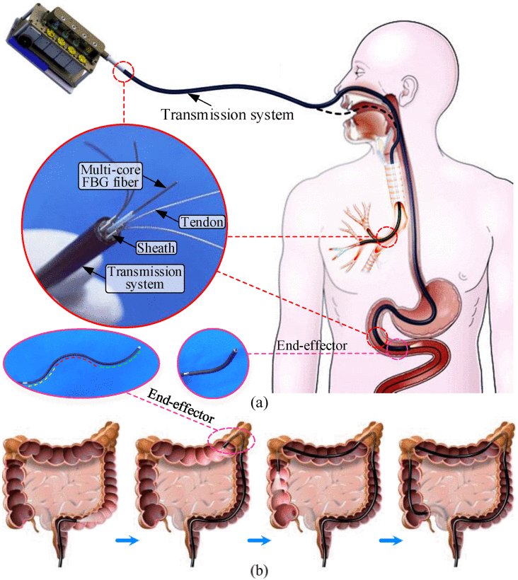 Dynamic Hysteresis Compensation for Tendon-Sheath Mechanism in Flexible Surgical Robots Without Distal Perception Figure 1