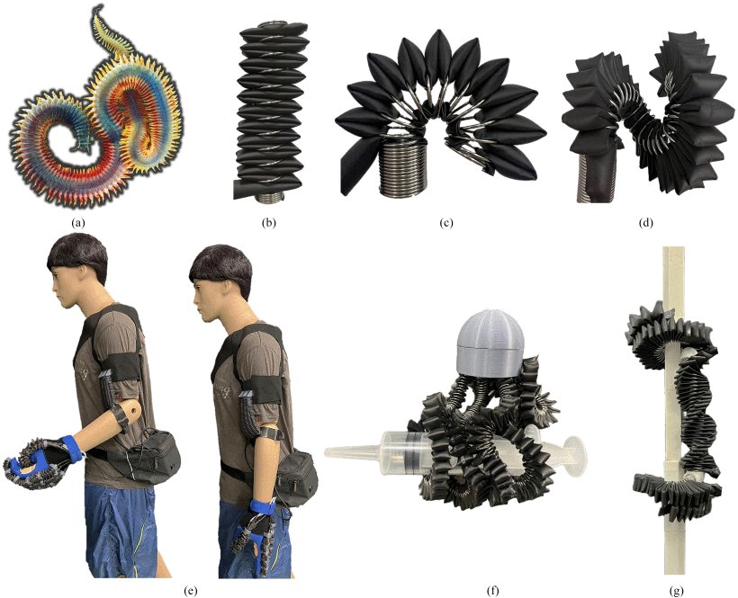 Coil-Reinforced Flat Tube Actuators for Robotic Applications Figure 1