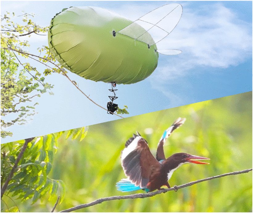 RGBlimp-Q: Robotic Gliding Blimp With Moving Mass Control Based on a Bird-Inspired Continuum Arm Figure 1