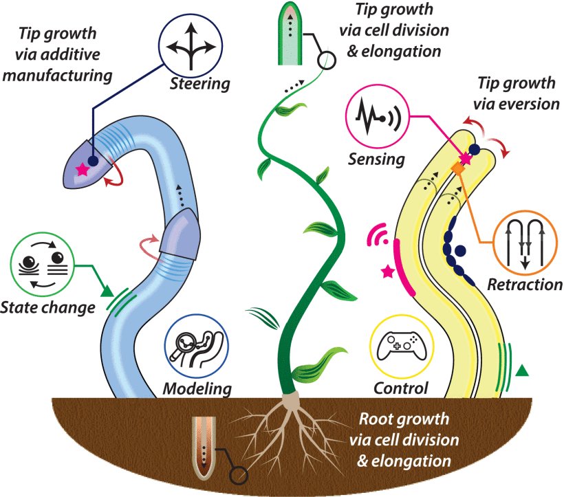 Tip-Growing Robots: Design, Theory, Application Figure 1
