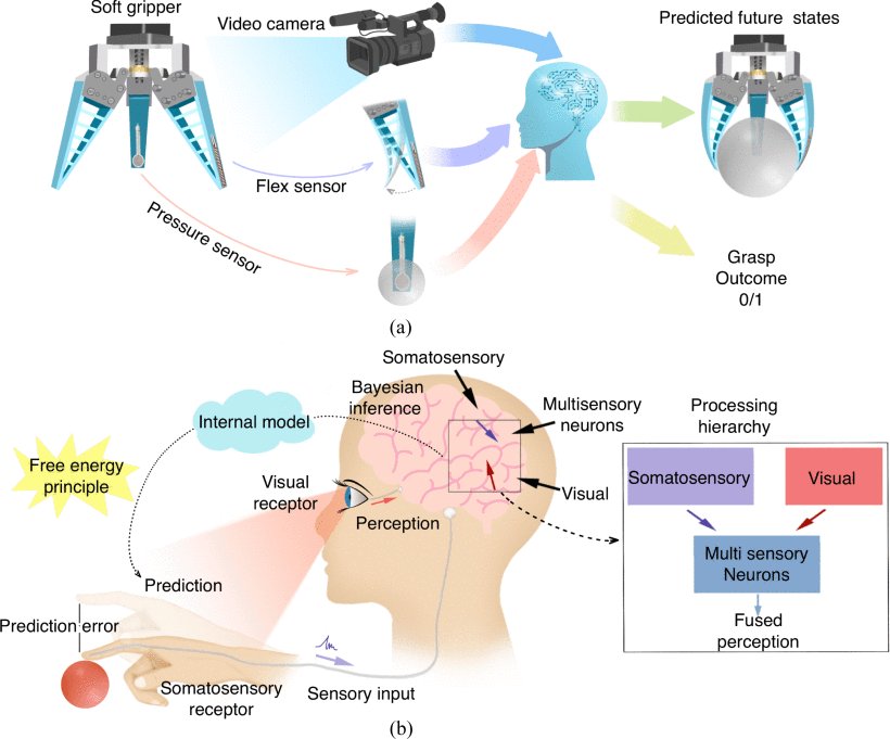 Predictive Body Awareness in Soft Robots: A Bayesian Variational Autoencoder Fusing Multimodal Sensory Data Figure 1