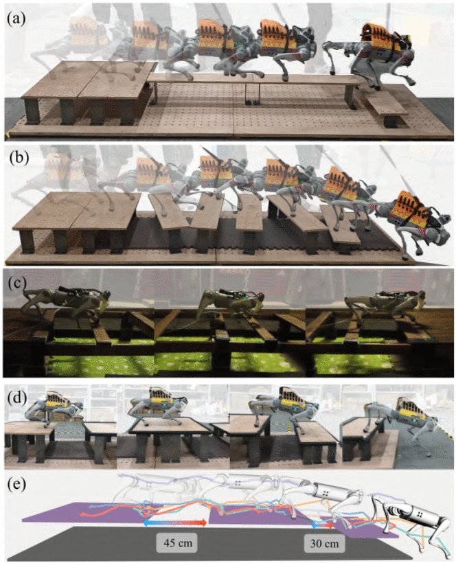 MARG: MAstering Risky Gap Terrains for Legged Robots With Elevation Mapping Figure 1
