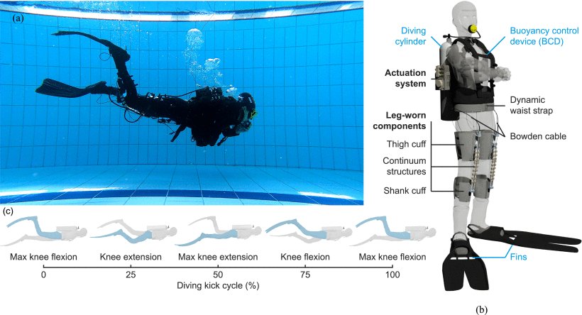 An Underwater Exoskeleton for Scuba Diving: Reducing Air Consumption and Muscle Activation Through Knee Assistance Figure 1