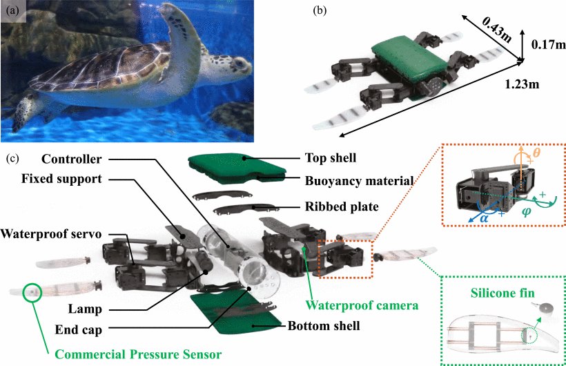 An Intelligent Bionic Amphibious Turtle Robot With Visual-Tactile Fusion for Dynamic Terrain Adaptation Figure 1