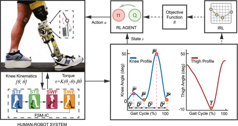 Addressing Human–Robot Symbiosis via Bilevel Optimization of Robotic Knee Prosthesis Control Figure 1
