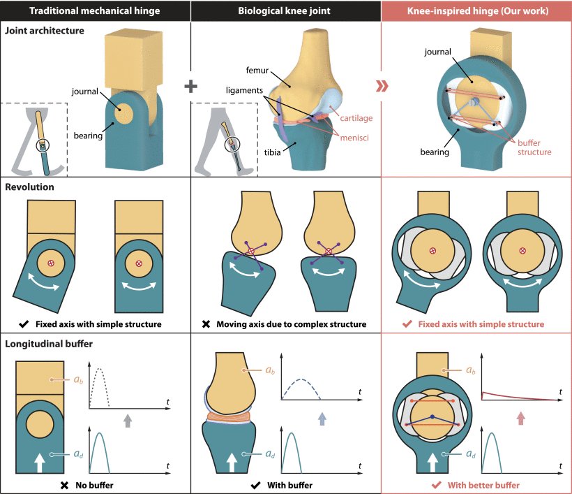 Knee-Inspired Hinge Absorbs Longitudinal Impacts to Enhance Robot-Environment Interaction Safety Figure 1