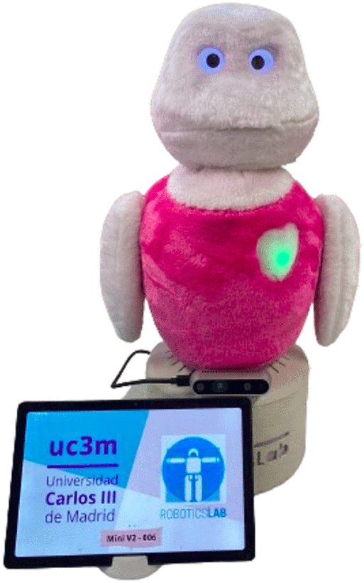 The Power of Persuasion: How Social Robots Influence Our Decisions in Collaborative Activities Figure 1