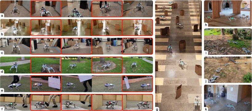 One Filter to Deploy Them All: Robust Safety for Quadrupedal Navigation in Unknown Environments Figure 1