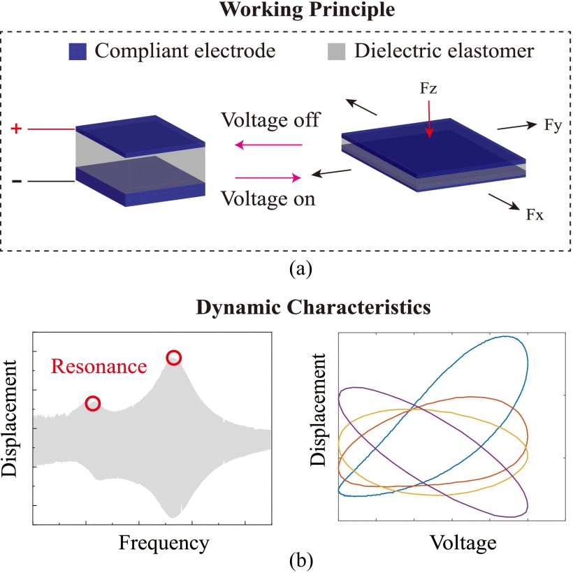 Physics-Informed Token Prediction-Based Dynamic Modeling and High-Speed Feedforward Tracking Control of Dielectric Elastomer Actuators Figure 1