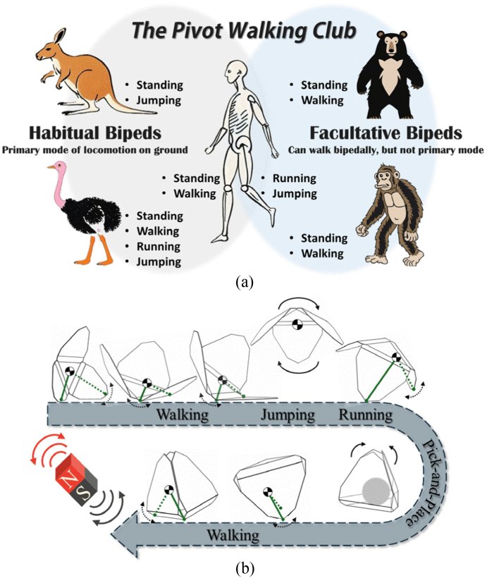 Hierarchical Multimodal Motion Control of Magnetic Pivot-Walking Millirobotic-Grippers for Autonomous Target Acquisition in Complex Terrains Figure 1