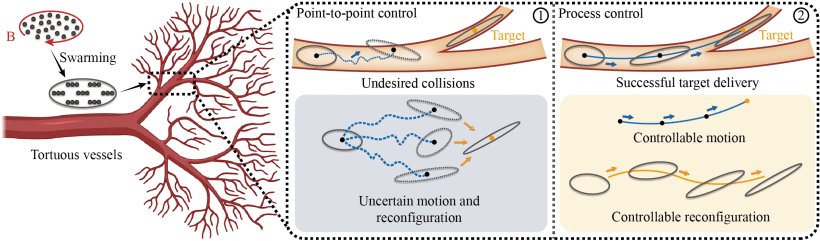 Deep Learning-Based Process Control of Microrobot Swarms Guided by Phase Diagrams Figure 1