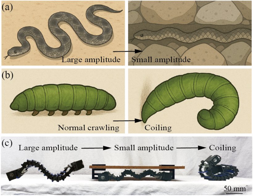 Environmental Adaptation Enabled by an Amplitude-Tunable Traveling Wave Robot With a Soft Corkscrew (ATWBot) Figure 1